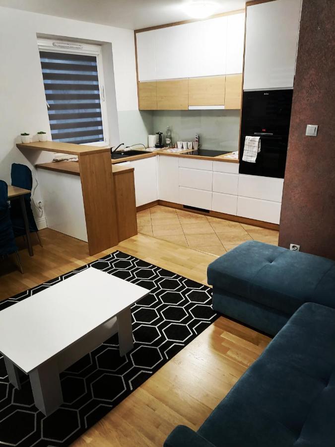 Apartament Luxbibi Διαμέρισμα Rzeszów Εξωτερικό φωτογραφία